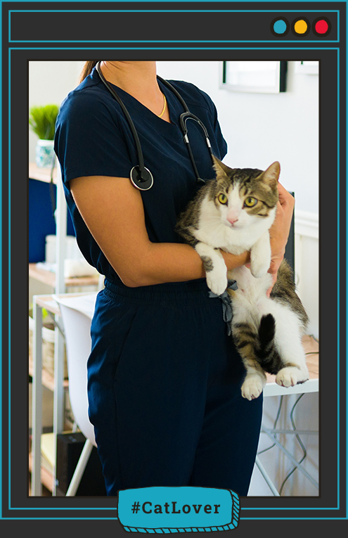 experiencias veterinario